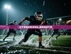 辽宁男篮战胜深圳队,继续保持不败